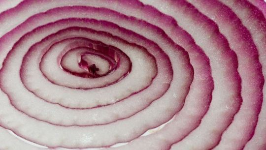 red onion Capture